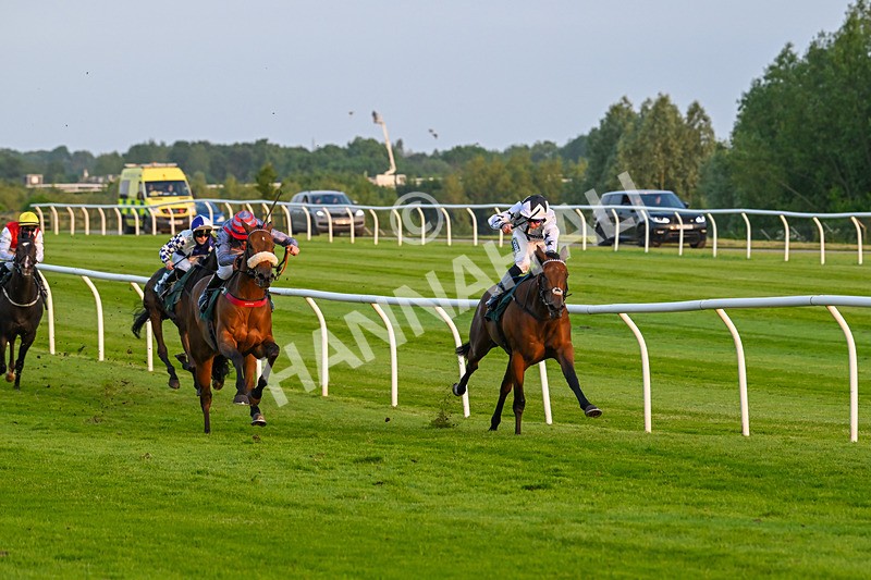 310524-Race 5-Dusk Dame-8912 - Race 5