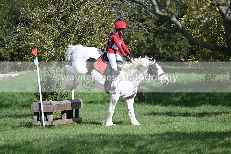 WJ7_8932 - Time 11:10 to 11:53