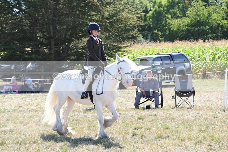 WJ6_8978 - Class 38 Ridden Riding Horse/Pony