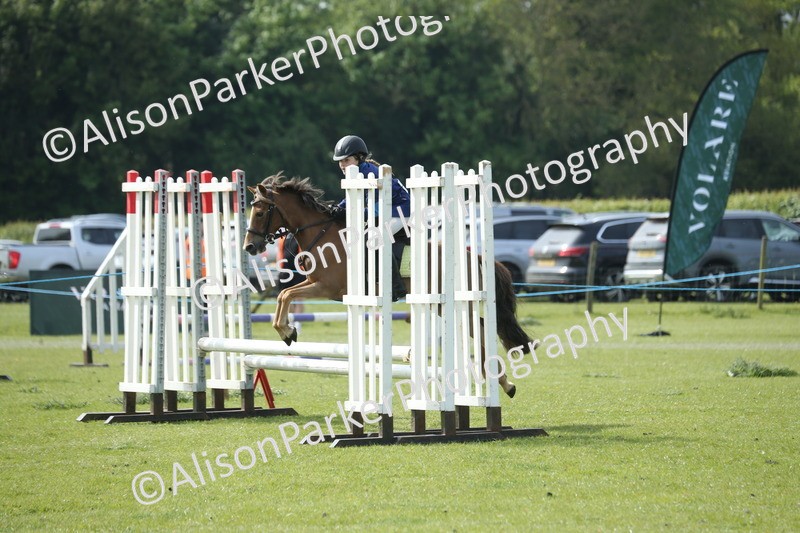 20260426-1583 - Class 14 - Novice 60cm