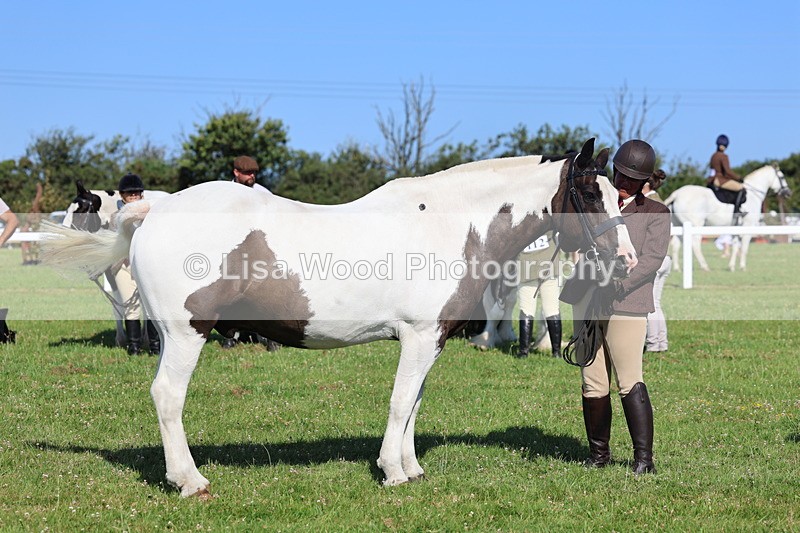 IMG_1585 - Class 30: Ridden Native/Trad Coloured Pony