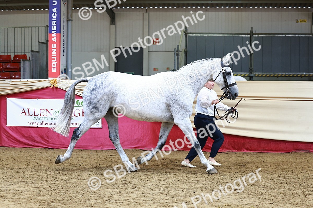 SBM_23176 - Class 903 - Supreme Final - IH Pre Vet