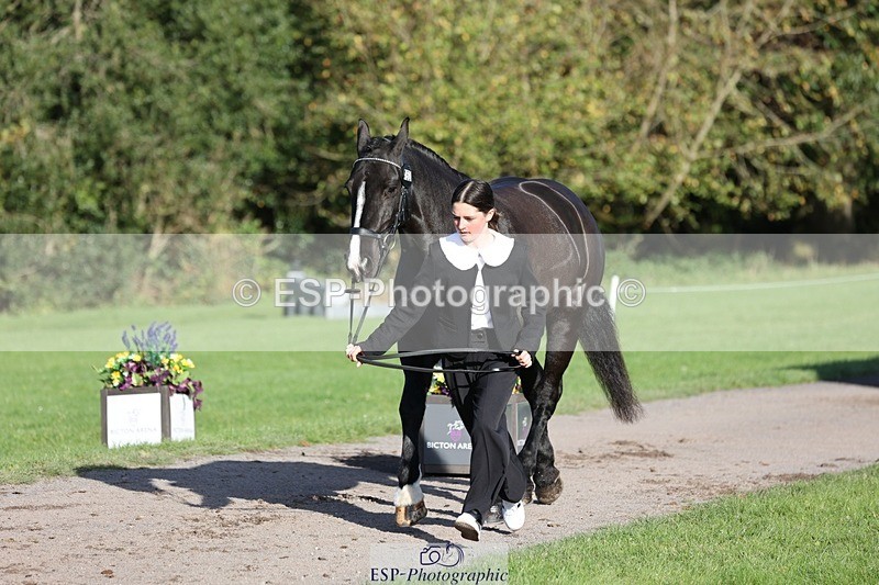 241027-095949-15625 - 452-Eleanor.Blewitt-CARRY.ON.PRINCESS