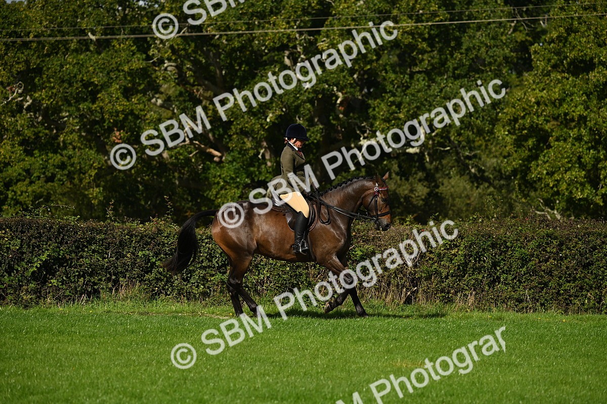 SBM_01452 - S2 - TSR Ridden Horse Showing