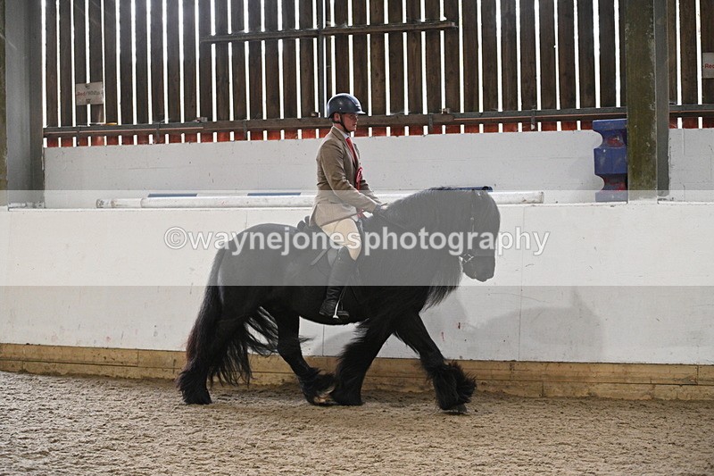 WJ7_4486 - Afternoon Champs