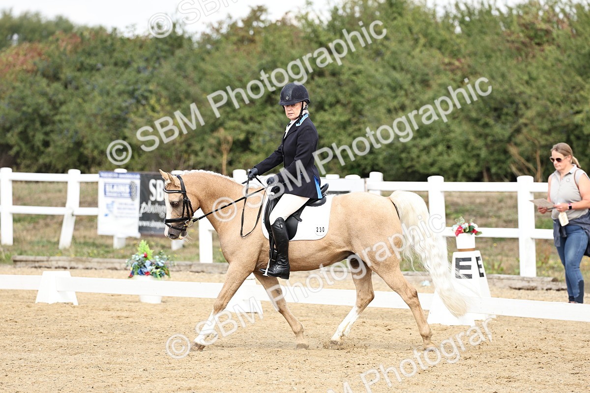 SBM_018199 - Class 16 - Novice 5 - 11.12-12.01