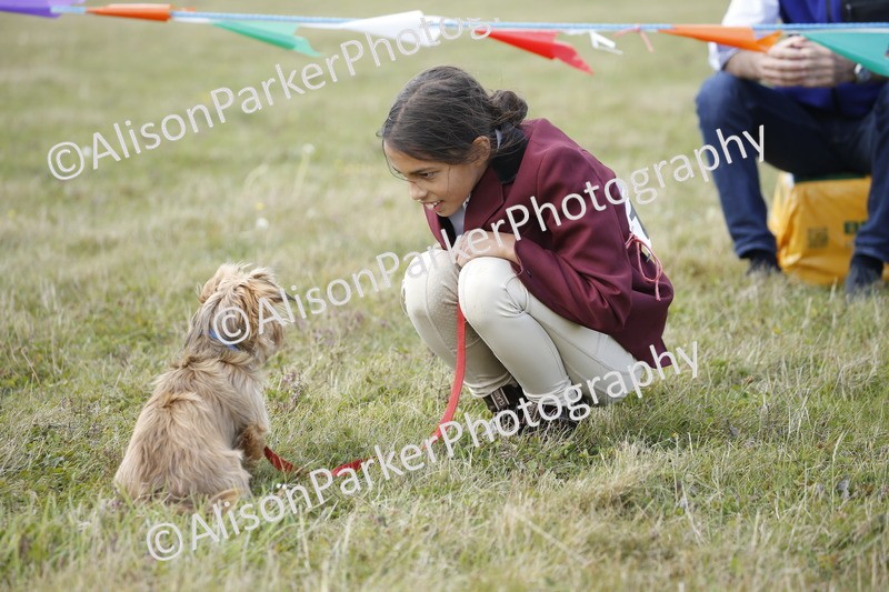 20250831-3611 - Dog Show