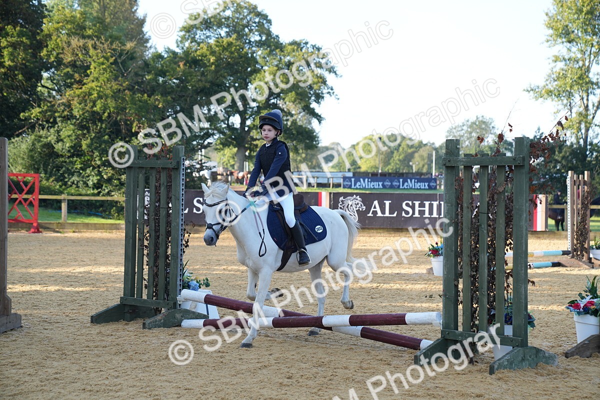 SBM_59016 - J63 - Minis Clear Round 30cm 40cm