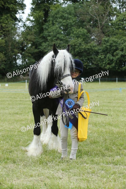 20260614-4330 - Class 18 - Best Junior Handler