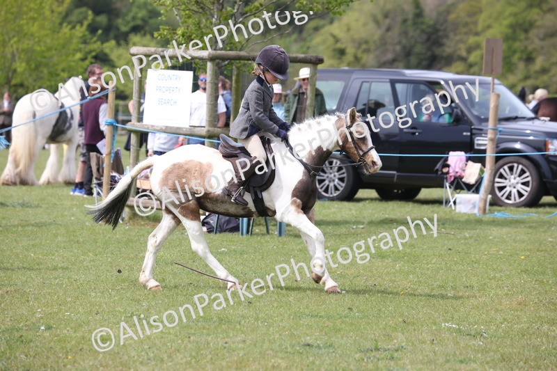 20260426-2961 - Class 33 - Best Pony 14.2hh and Under