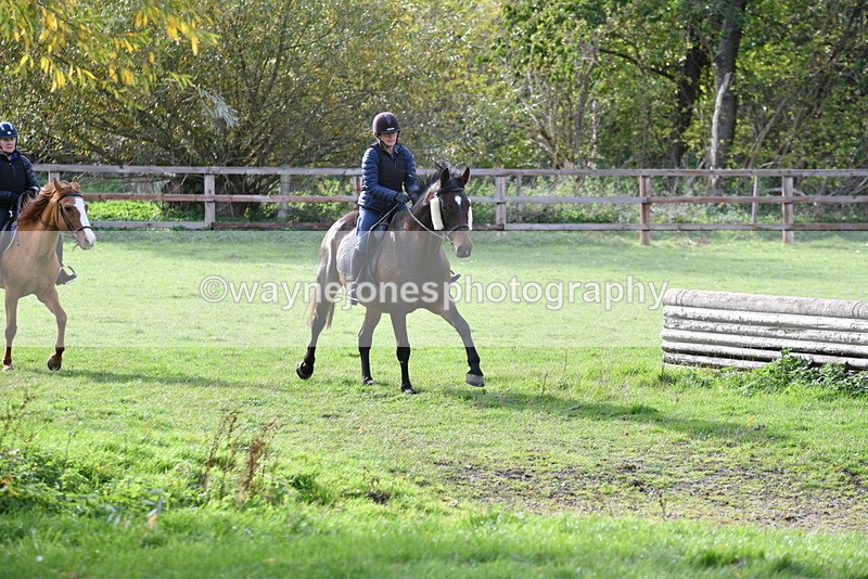 WJ5_1192 - Time 14:29 to 15:31