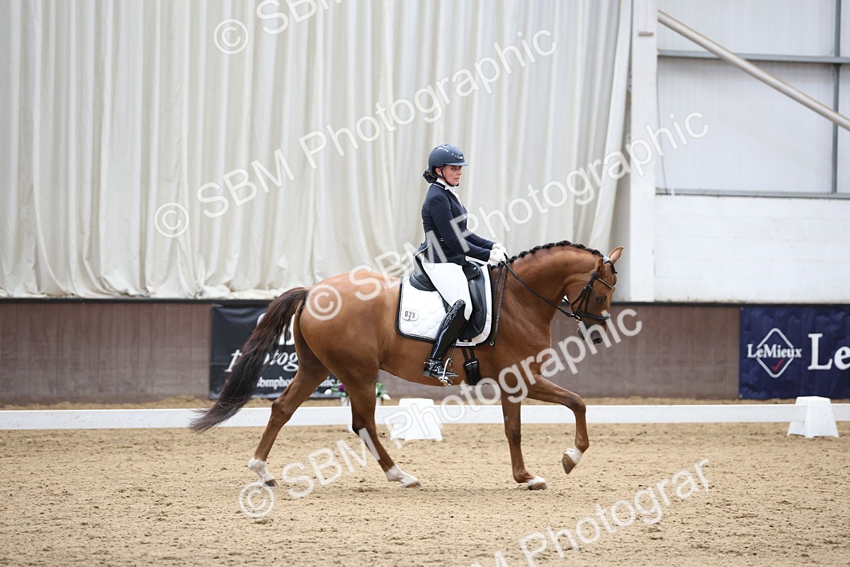 SBM_002895 - Class 5 - Novice 6 Gold - 10.24-11.30