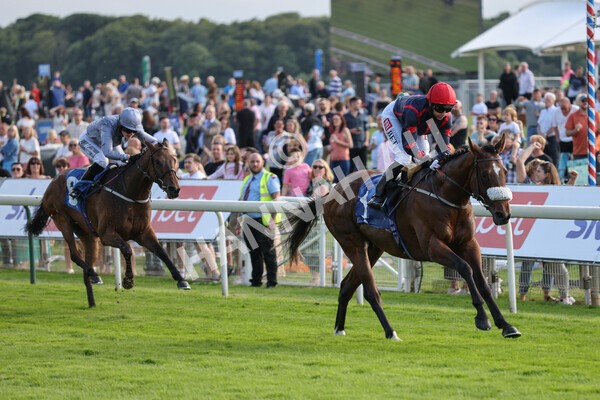 yr23072021r1-19 - Race 1 6.00pm John Wright Electrical Silk Series Lady Riders Handicap