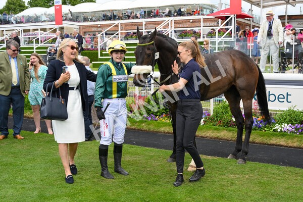 yr11062022r1-176 - Race 1 12.45pm Macmillan Ride of Their Lives, supported by Sky Bet