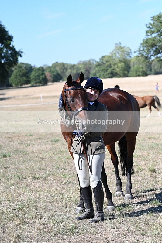 WJ7_1874 - Class 43 Best Six Legs (In hand)