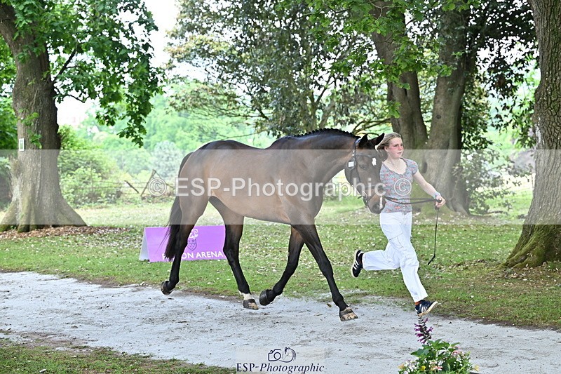 250521A-143456-00098 - A-008-Ada.Marson-IZZIETOP