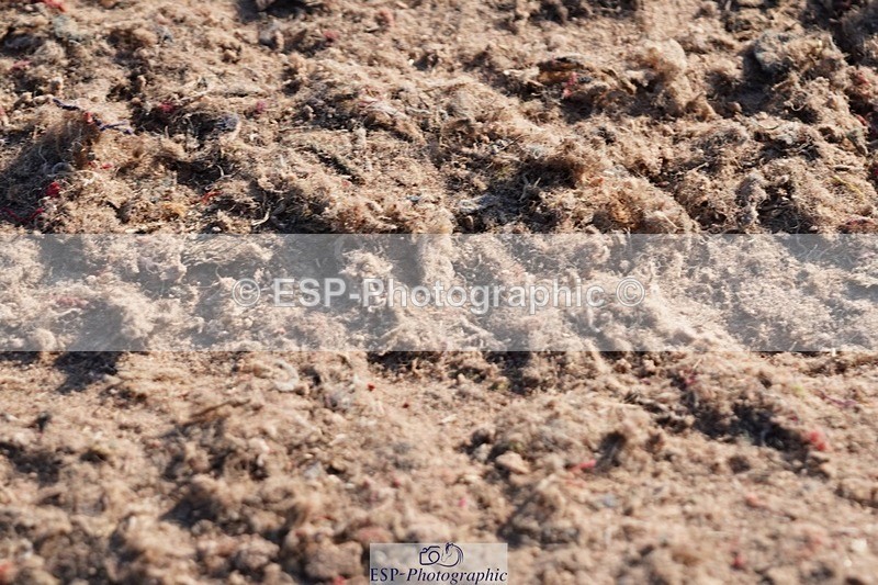 250510-175936-12398 - Cls 18 Chard Eq Derby