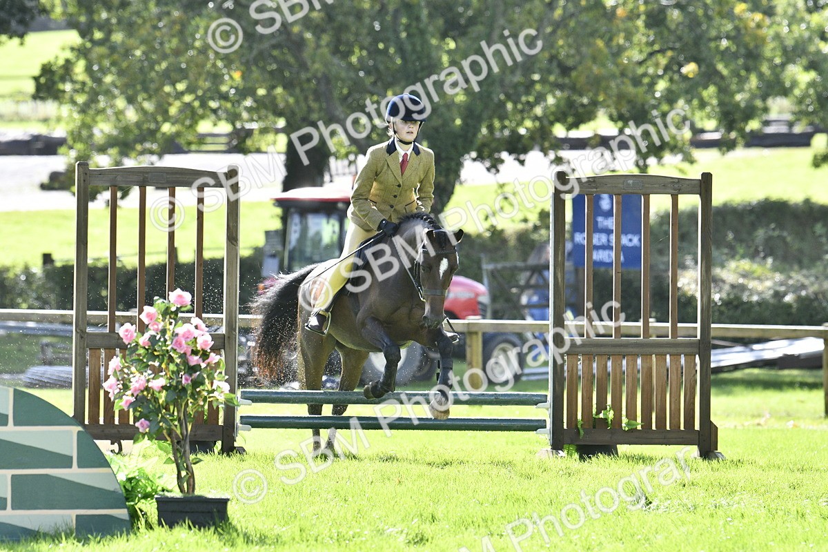 SBM_38257 - S31 - Novice & Newcomer Working Hunter Pony