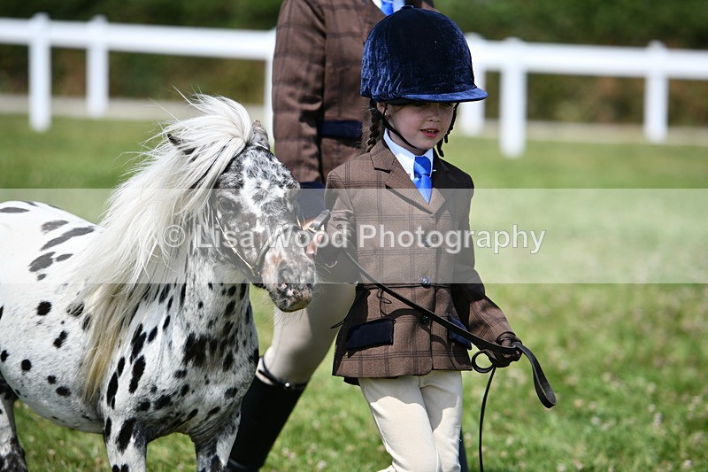 DSC_8013 - Class 66: Child Handler 10 years and under