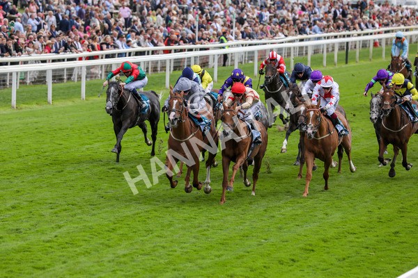 220824-Race 3-Thunder Run-7649 - Race 3 3.00pm Clipper Handicap