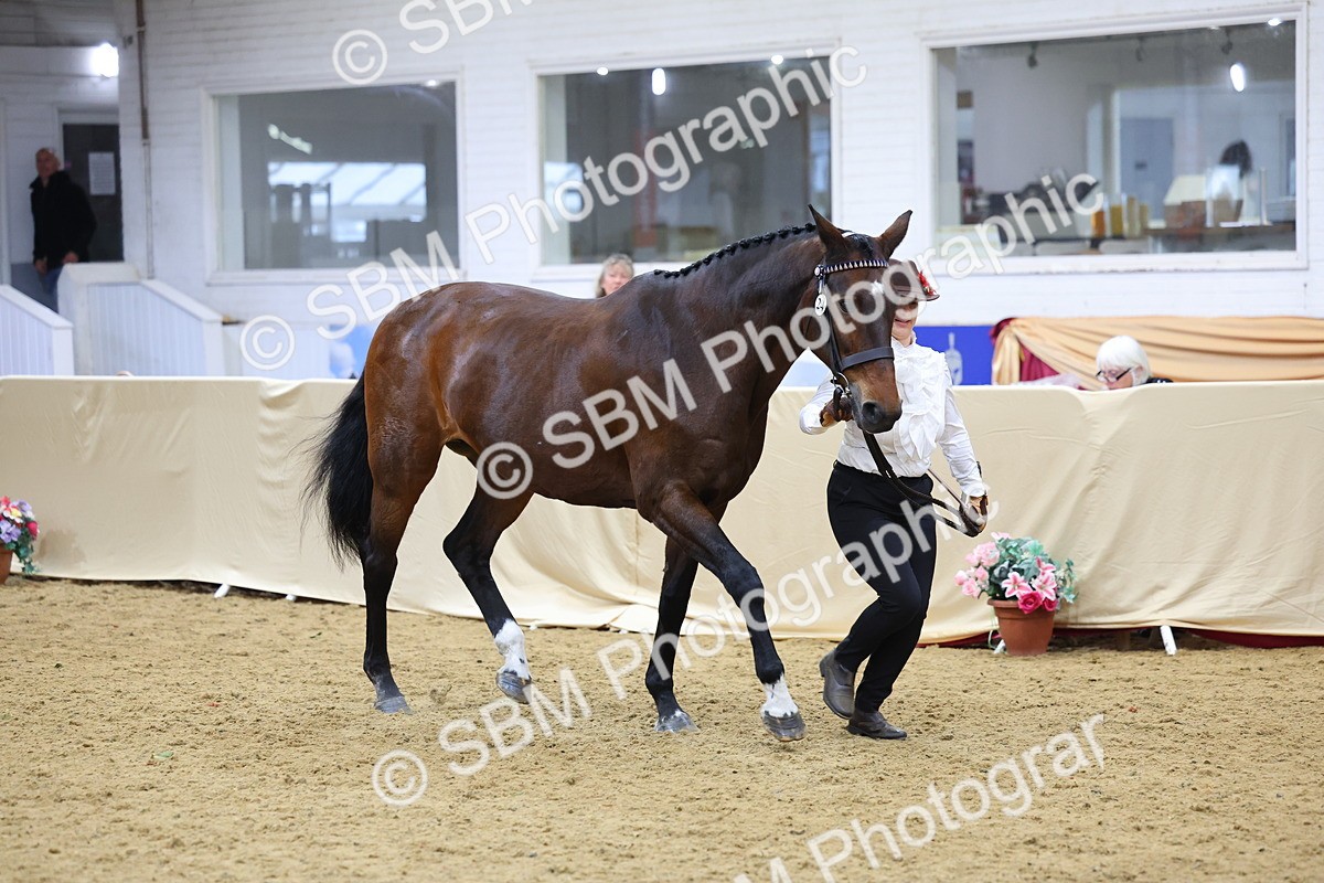 SBM_21089 - Class 902 - Supreme Final IH Veteran
