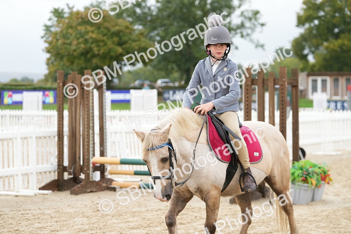 SBM_32400 - J5 - Junior Pony 50cm Championship