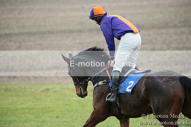 PtP 251118-199 - Vine & Craven Point-to Point Barbury Racecourse 25/11/18