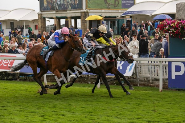 220824-Race 7-Alfa Kellenic-7899 - Race 7 5.20pm British EBF Fillies' Handicap
