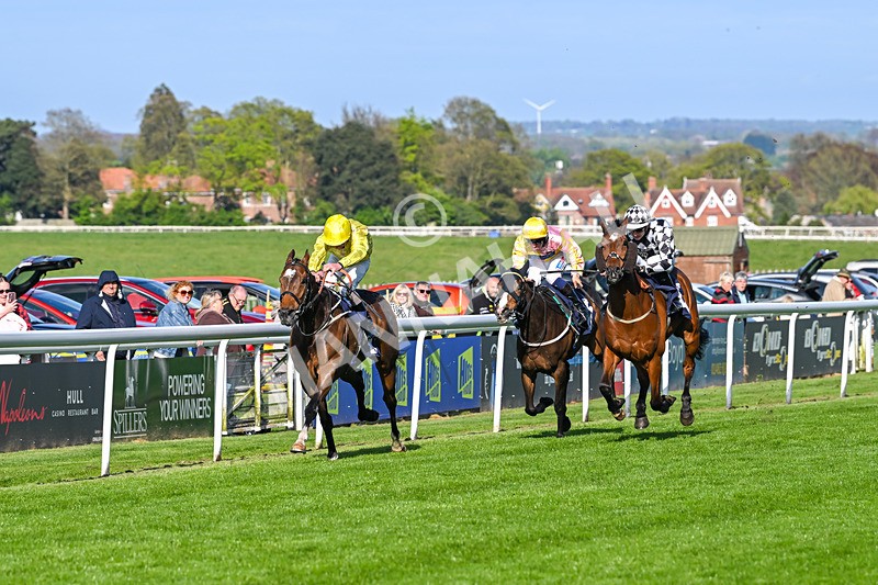 240425-Race 7-Mister Daydream-1781 - Race 7