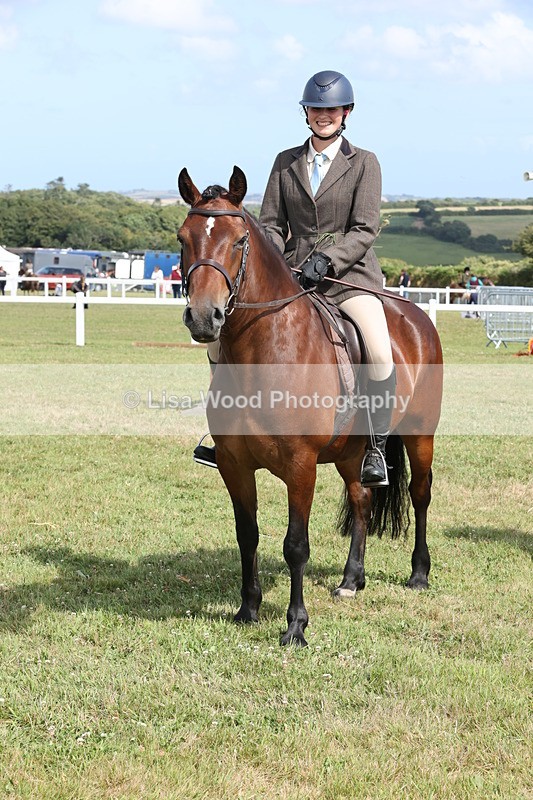 JPP_2452 - Class 19: Working Hunter 60cm