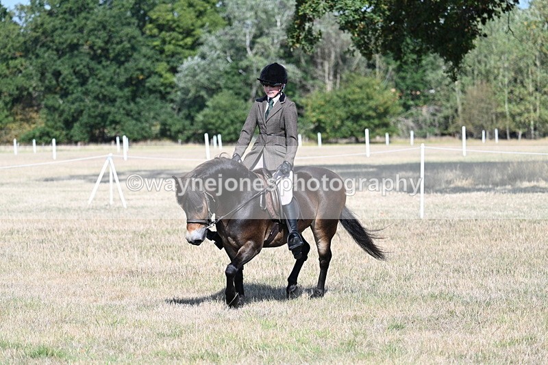 WJ7_2930 - Class 8 Ridden Tack & Turnout