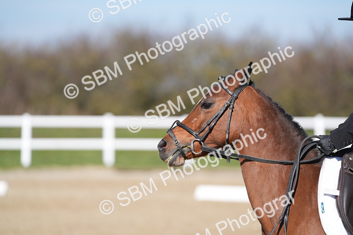 SBM_002134 - Class 3 - P1