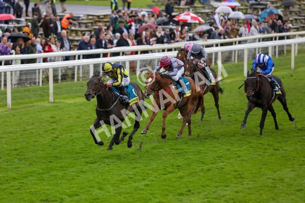 150624-Race 4-Jamess Delight-6145 - Race 4 3.35pm Churchill Tyres Supporting Macmillan Sprint Handicap