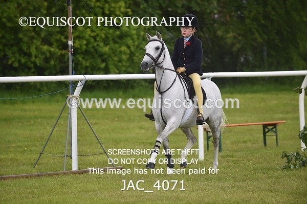 JAC_4071 - 40CM WORKING HUNTER