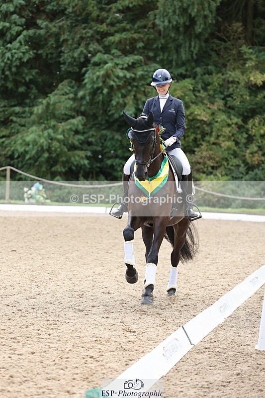 240810-132112-03311 - Medium Gold