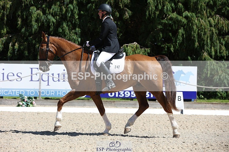 230811-142758-02035 - Cls 1 Prelim Bronze 13.30 to 14.50 break