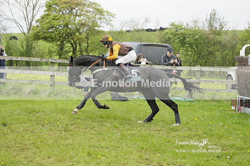 PtP 020522 208 - Mollington Races Point-to-Point 02/05/22