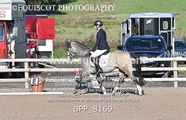BPP_8169 - SHORT ARENA