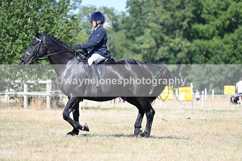 WJ7_9901 - Time 11:03 to 11:28