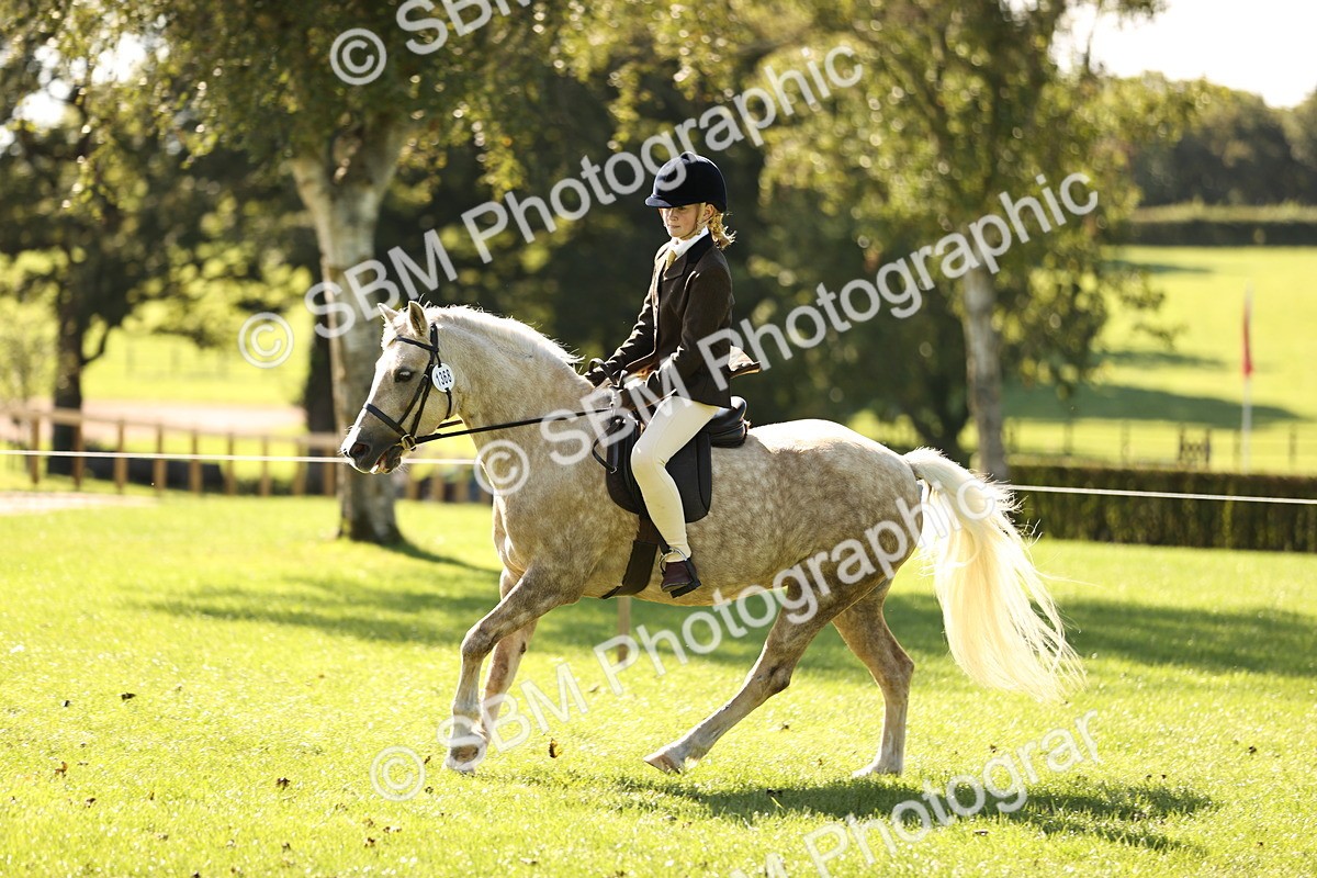 SBM_19136 - S3 - TSR Ridden Pony Showing