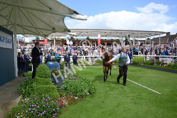 yr10062022r2-51 - Race 2 2.30pm SKF Rous Selling Stakes