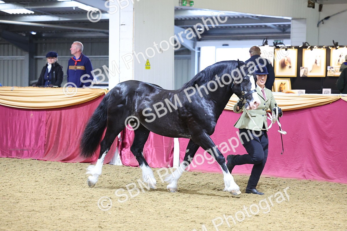 SBM_20983 - Class 902 - Supreme Final IH Veteran
