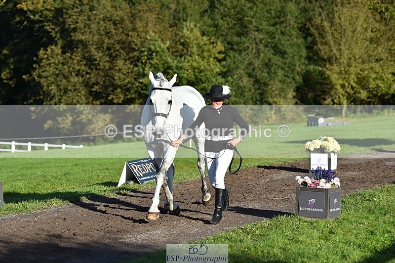 231022-095748-22142 - 434-SPINK.BUSTER-Sue.Parkes-TrotUp+SJ