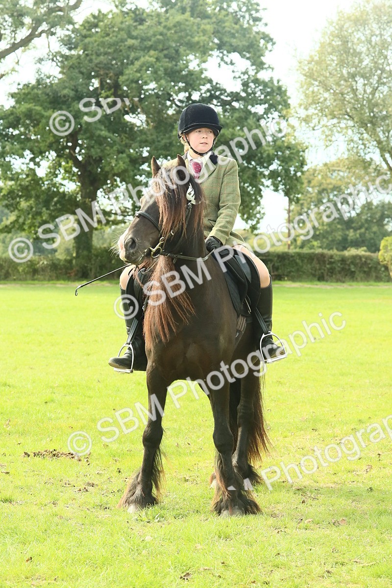 SBM_69387 - S58 - Mini Show Cob Ridden
