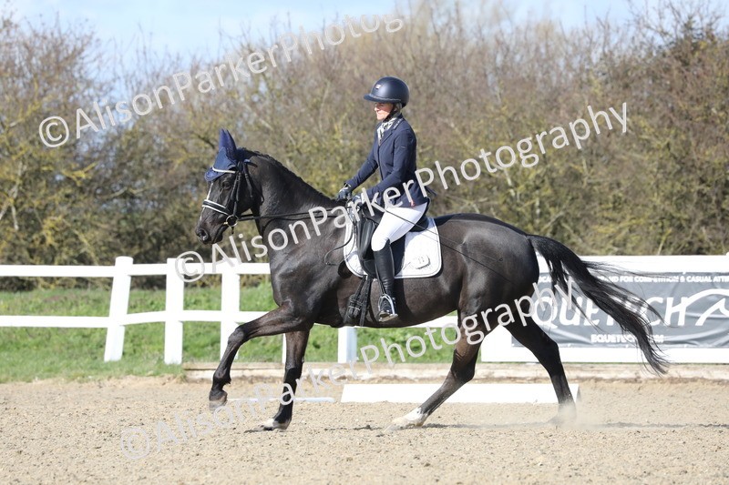 20260314-4978 - CT6 - Elementary 1