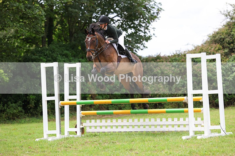 3E7A7292 - Class 5: Senior British Novice/90cm open