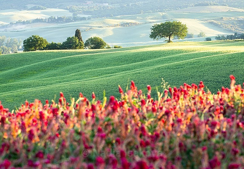  - Italy
