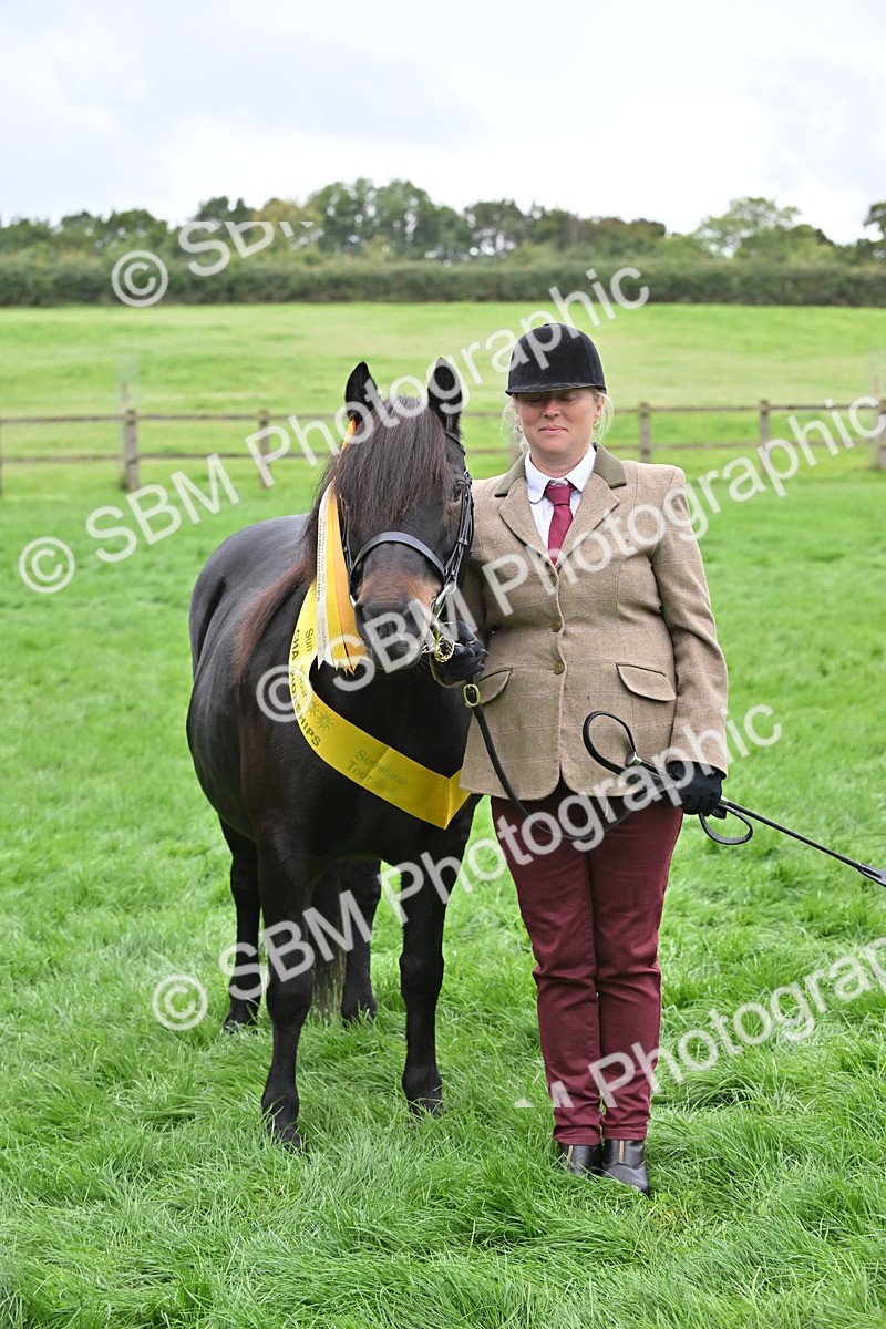 SBM_61048 - S48 - Mountain & Moorland In Hand Small Breeds