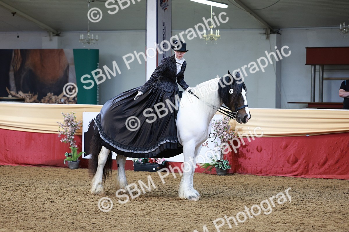 SBM_13786 - Class 106 - Ridden Costume -Astride Adult (15-19)