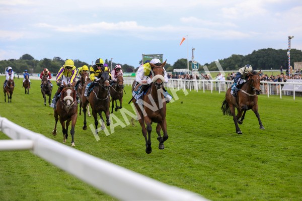 140624-Race 5-Invisible Friend-5756 - Race 6 4.45pm Irish Thoroughbred Marketing Handicap